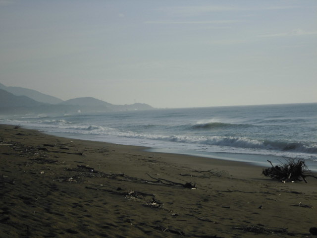 とある砂浜の風景
