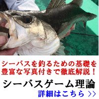 シーバス釣り基礎マニュアル