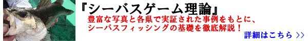 �V�[�o�X�t�B�b�V���O��b�}�j���A��